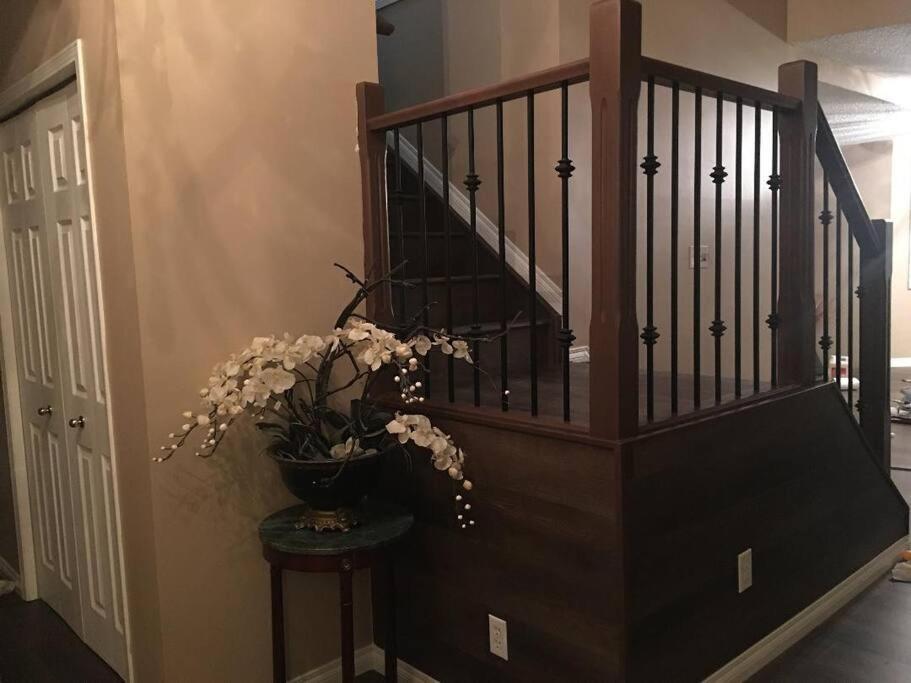 Renovated 4 Bedrooms 20 Sleeps Shopping Mall *